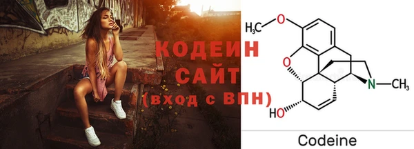 ГАЛЛЮЦИНОГЕННЫЕ ГРИБЫ Аркадак